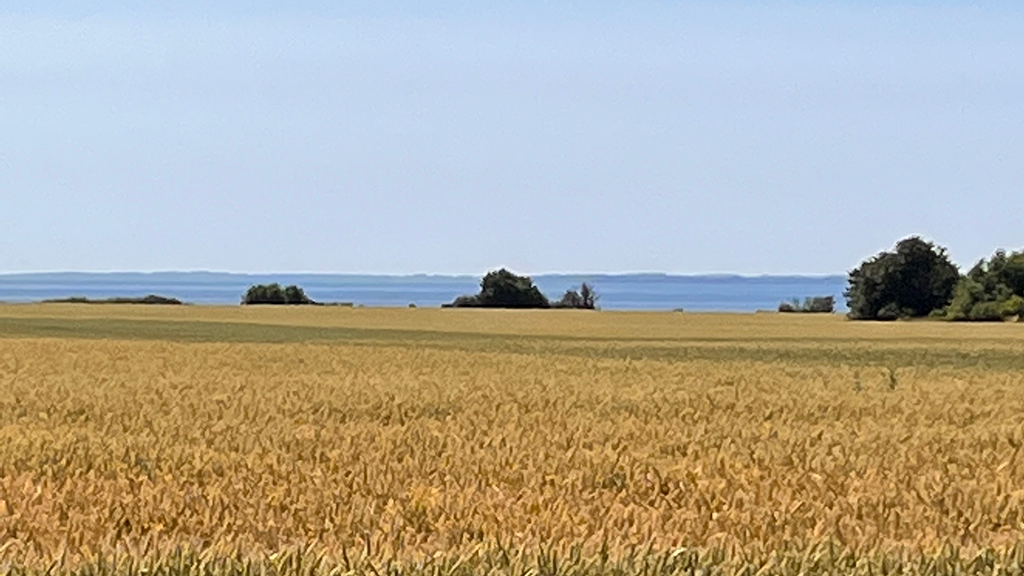 Munkgaard Bed & Breakfast udsigt