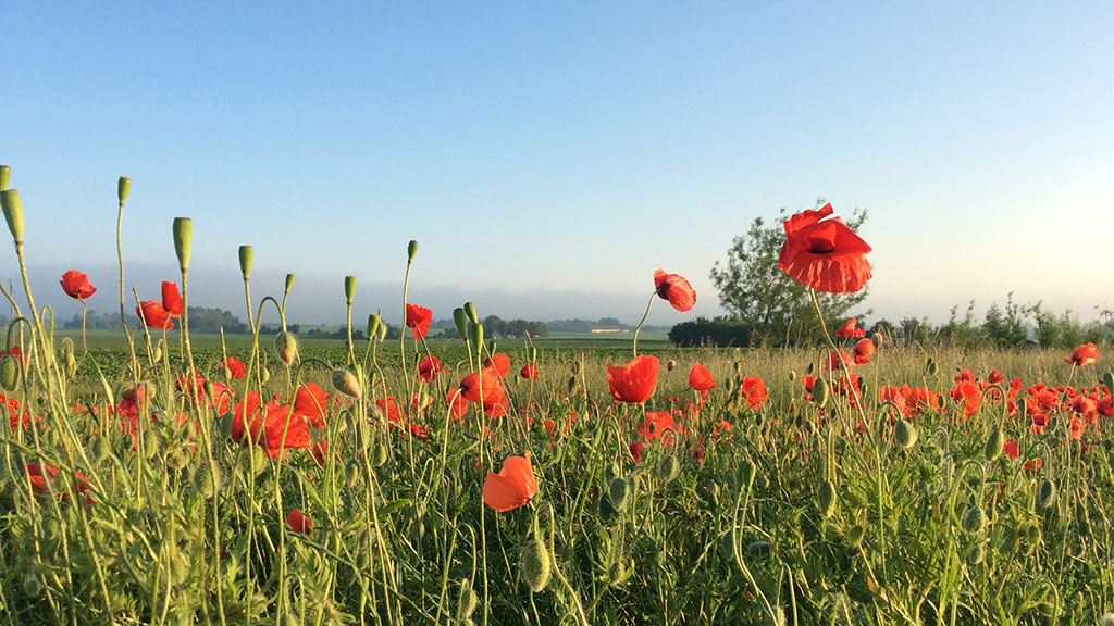Landsbyskolens Bed & Breakfast