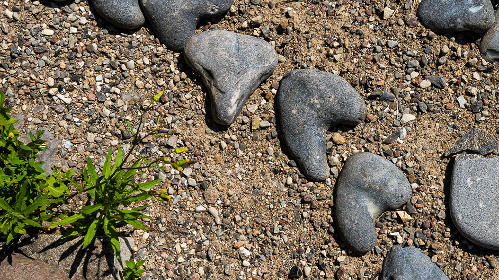 Landsbyskolens Bed & Breakfast