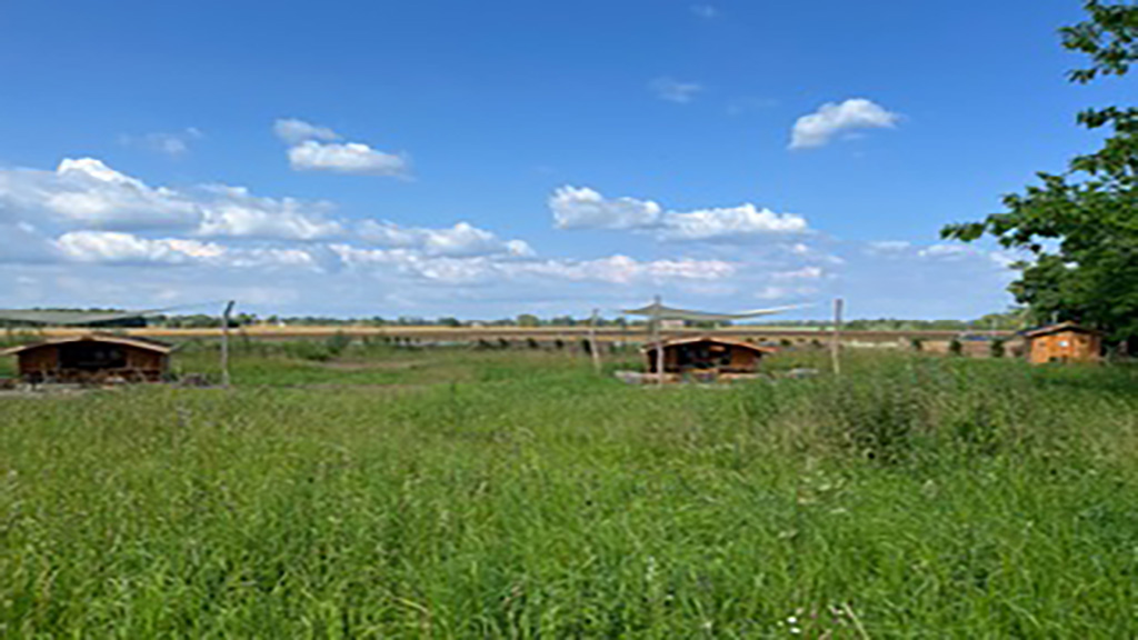 Shelters i Klippinge Bypark