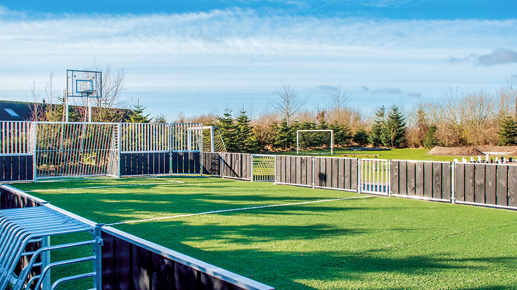 Activity area - Ball cage