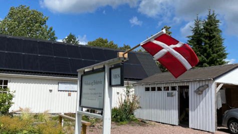 Nielsen og Holstein