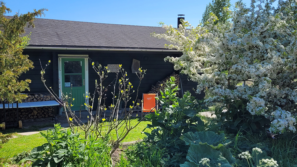 Uldhytten Sjolte Strand