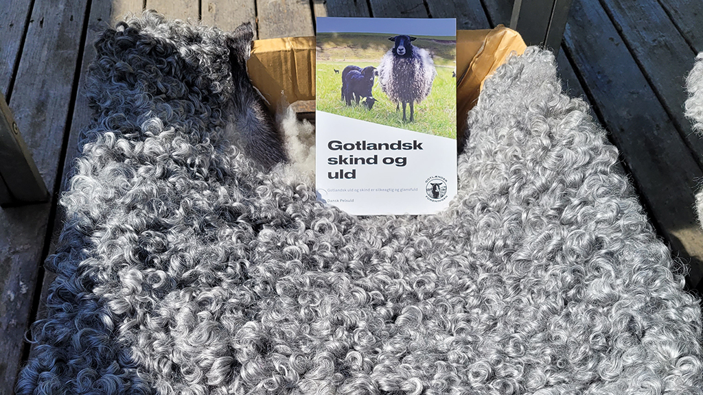 Uldhytten Sjolte Strand