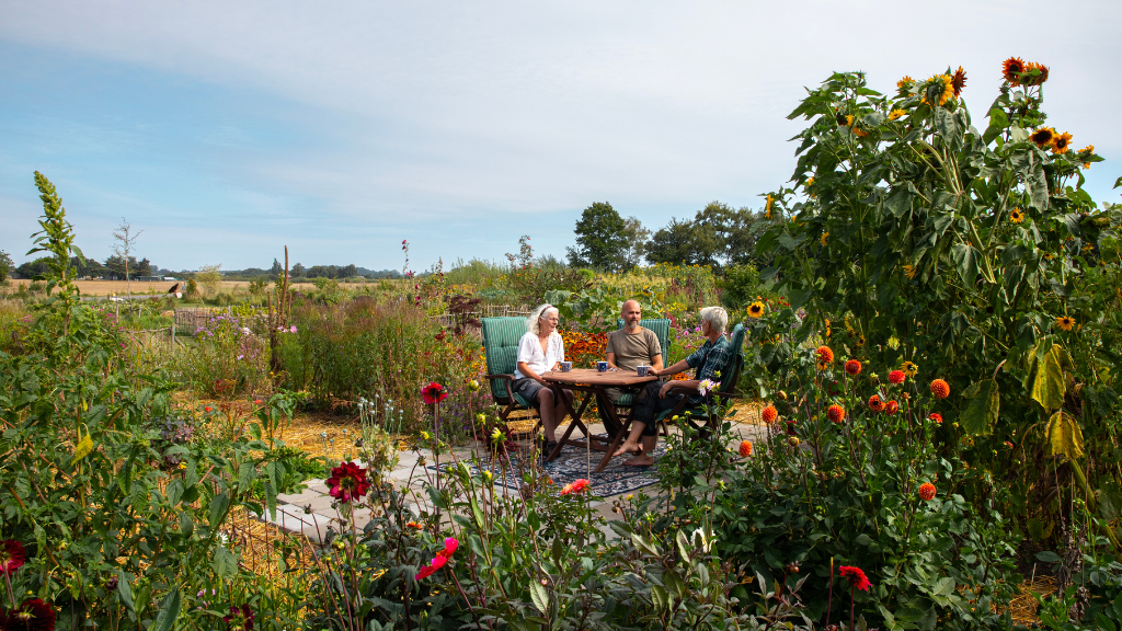 Danmarks største runde køkkenhave