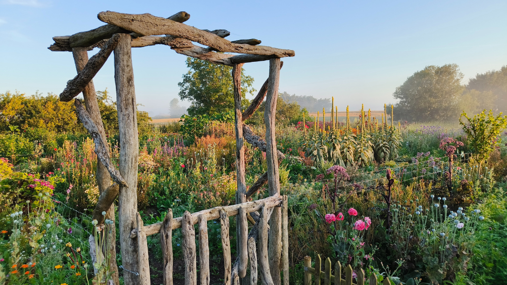 Danmarks største runde køkkenhave