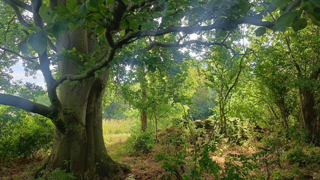 Danmarks største runde køkkenhave