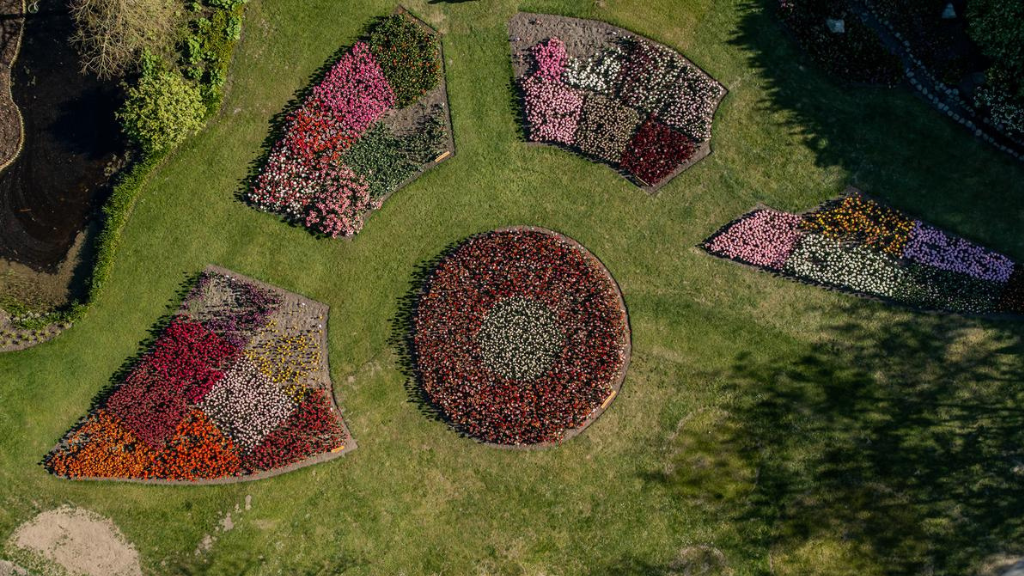 Gavnø Tulipanfestival