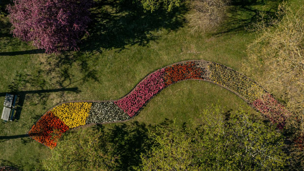 Gavnø Tulipanfestival