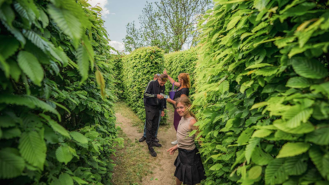 Kalvehave Labyrintpark