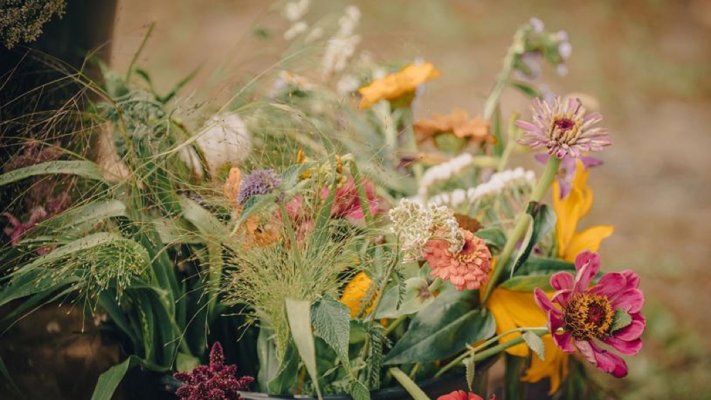 Radius Distillery blomster udenfor