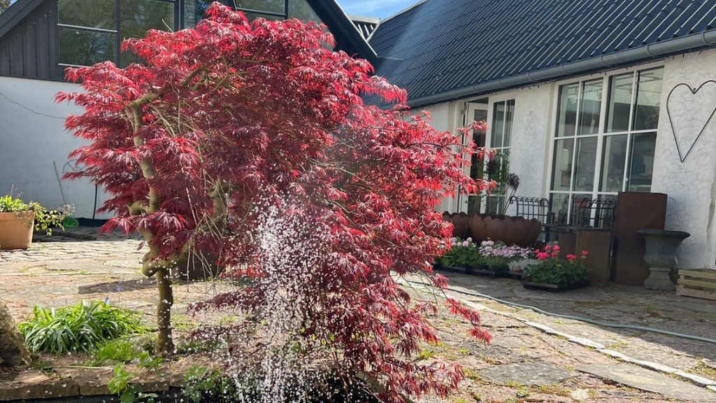 Ferielejligheder på Stevns