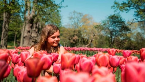 Gavnø Tulipan Festival - Pige ved blomster
