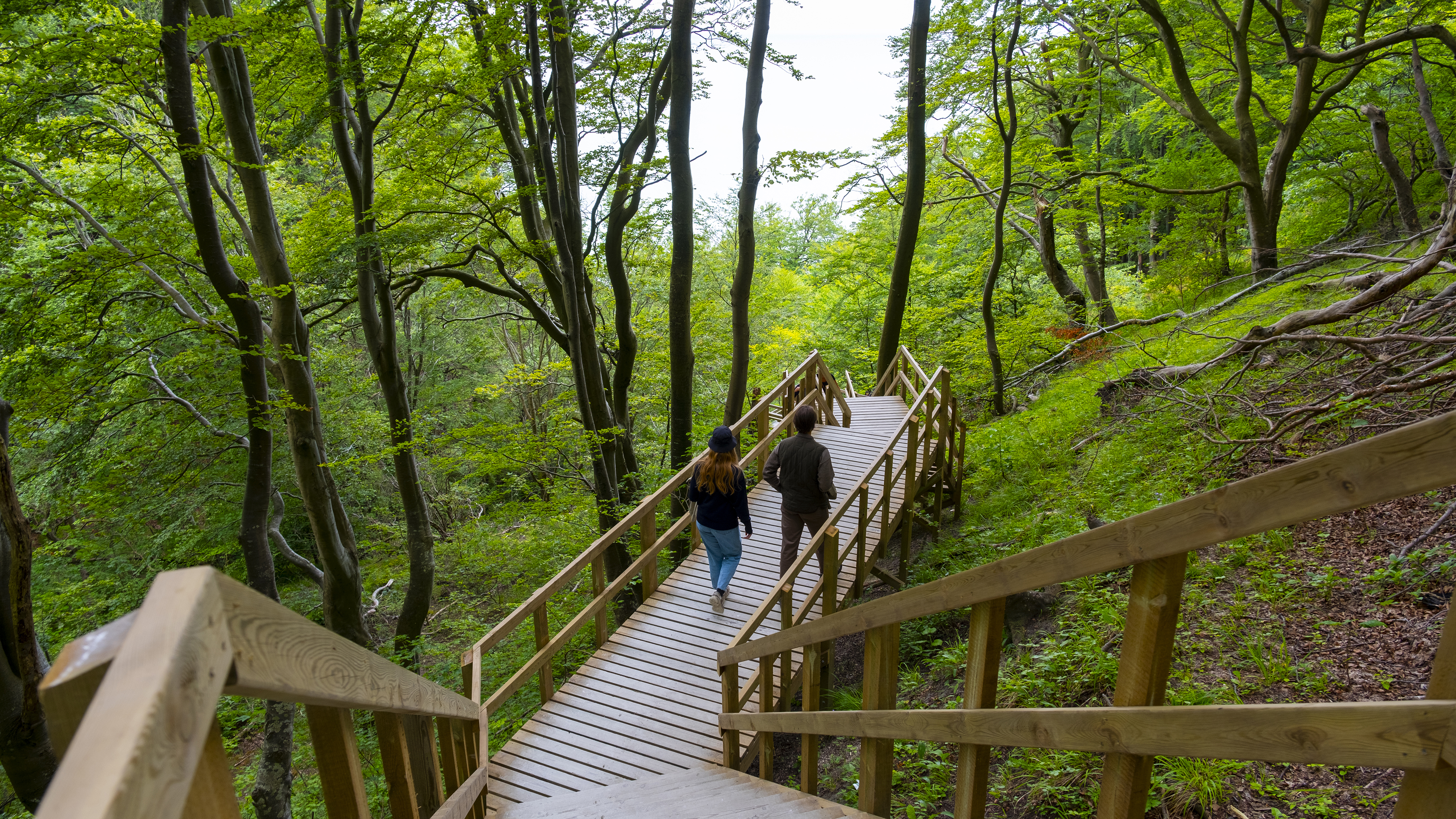 Møns Klint