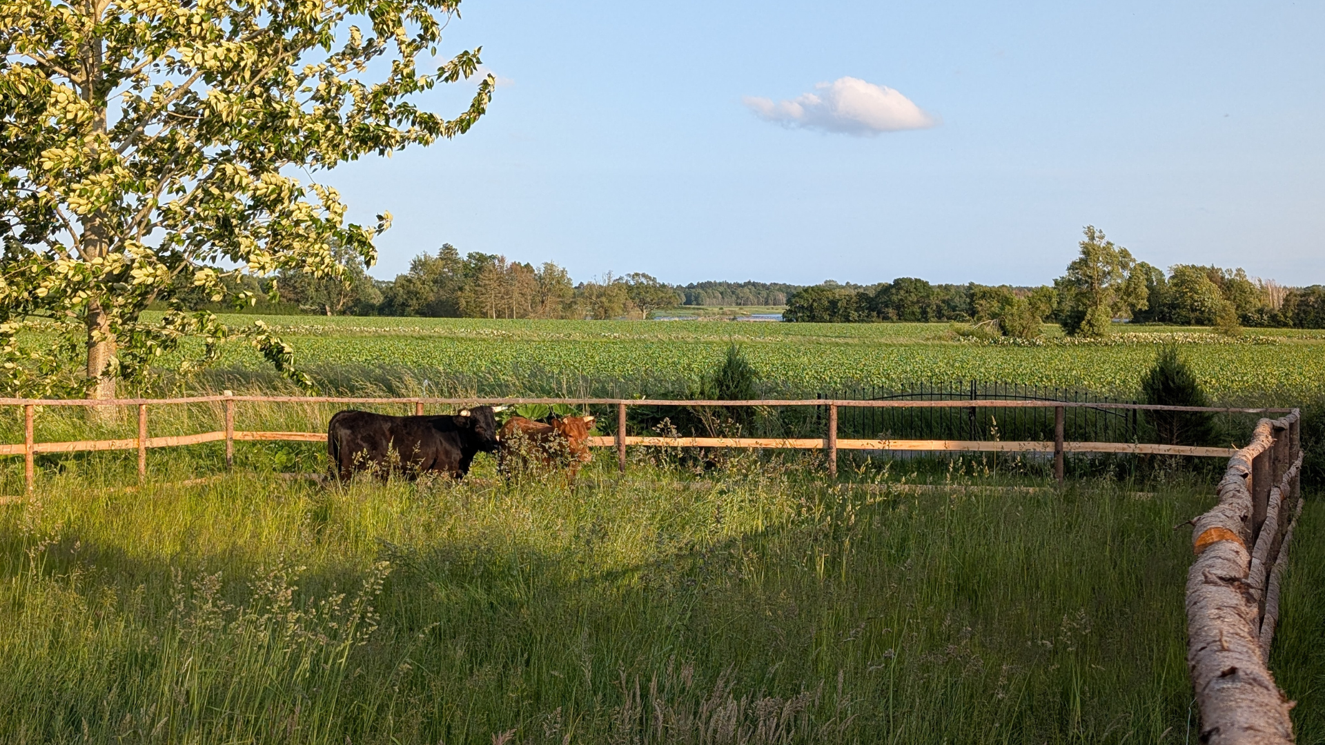 Roholtegaard, overnatning