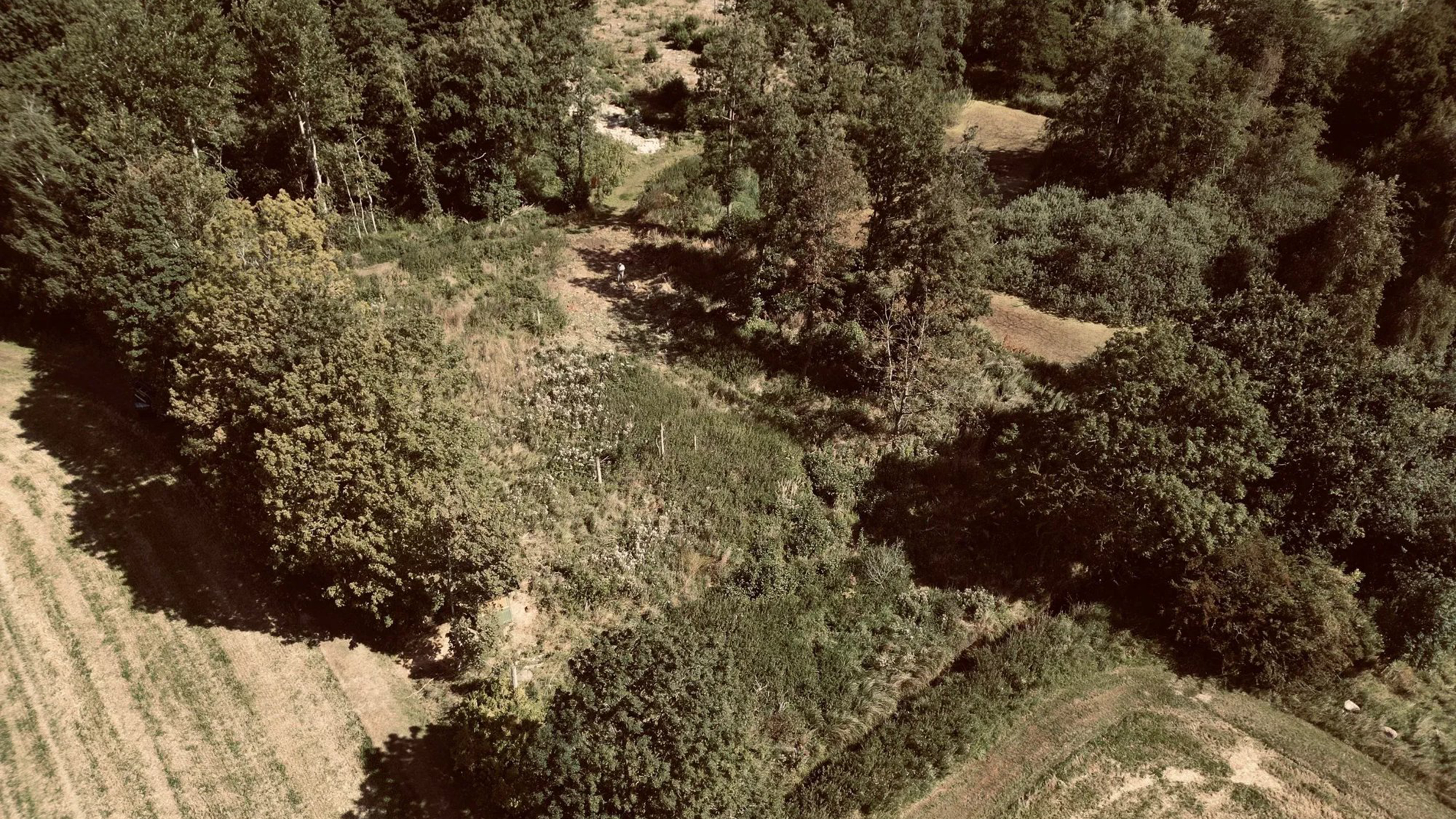 naturlejrplads