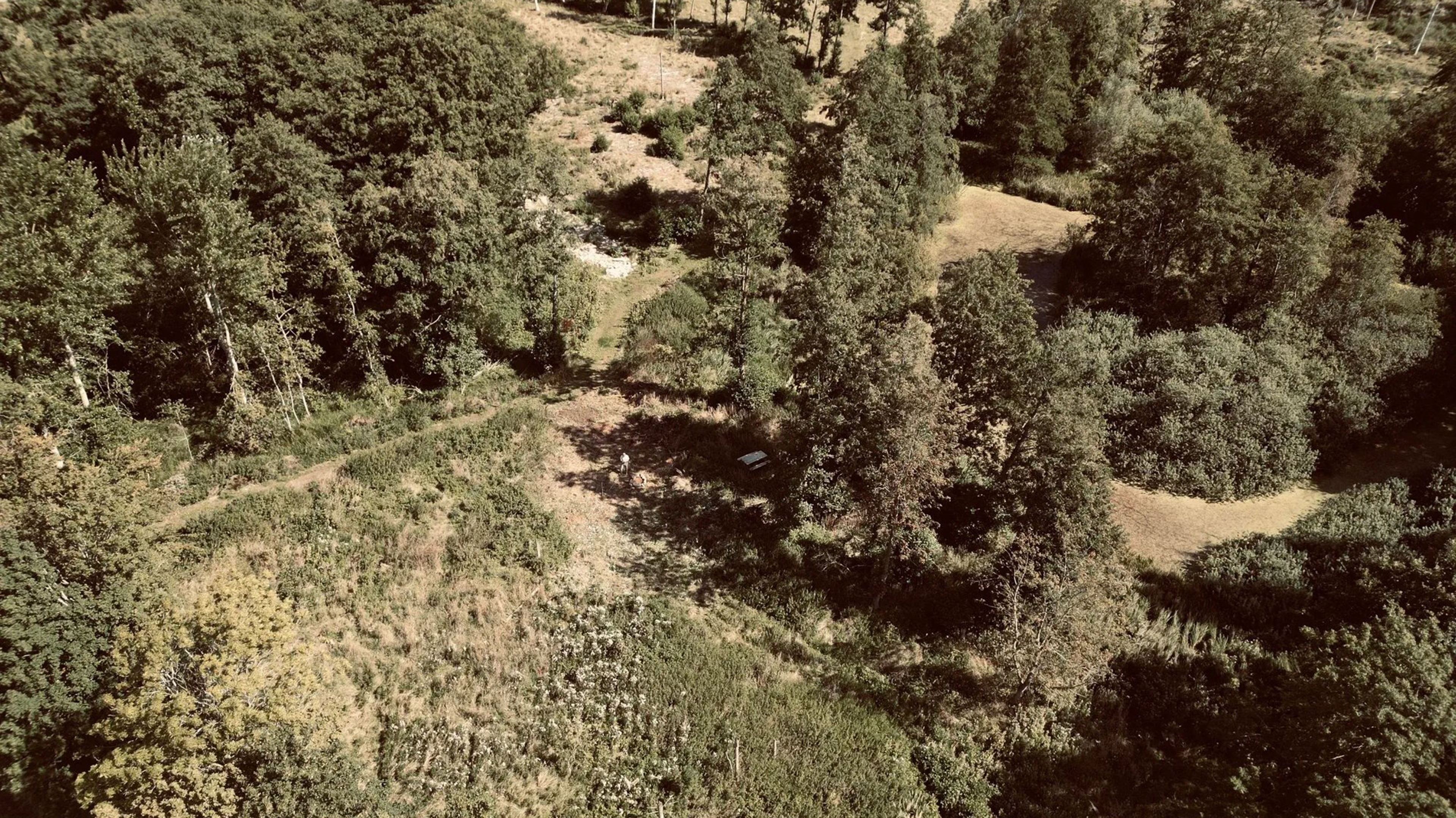 naturlejrplads