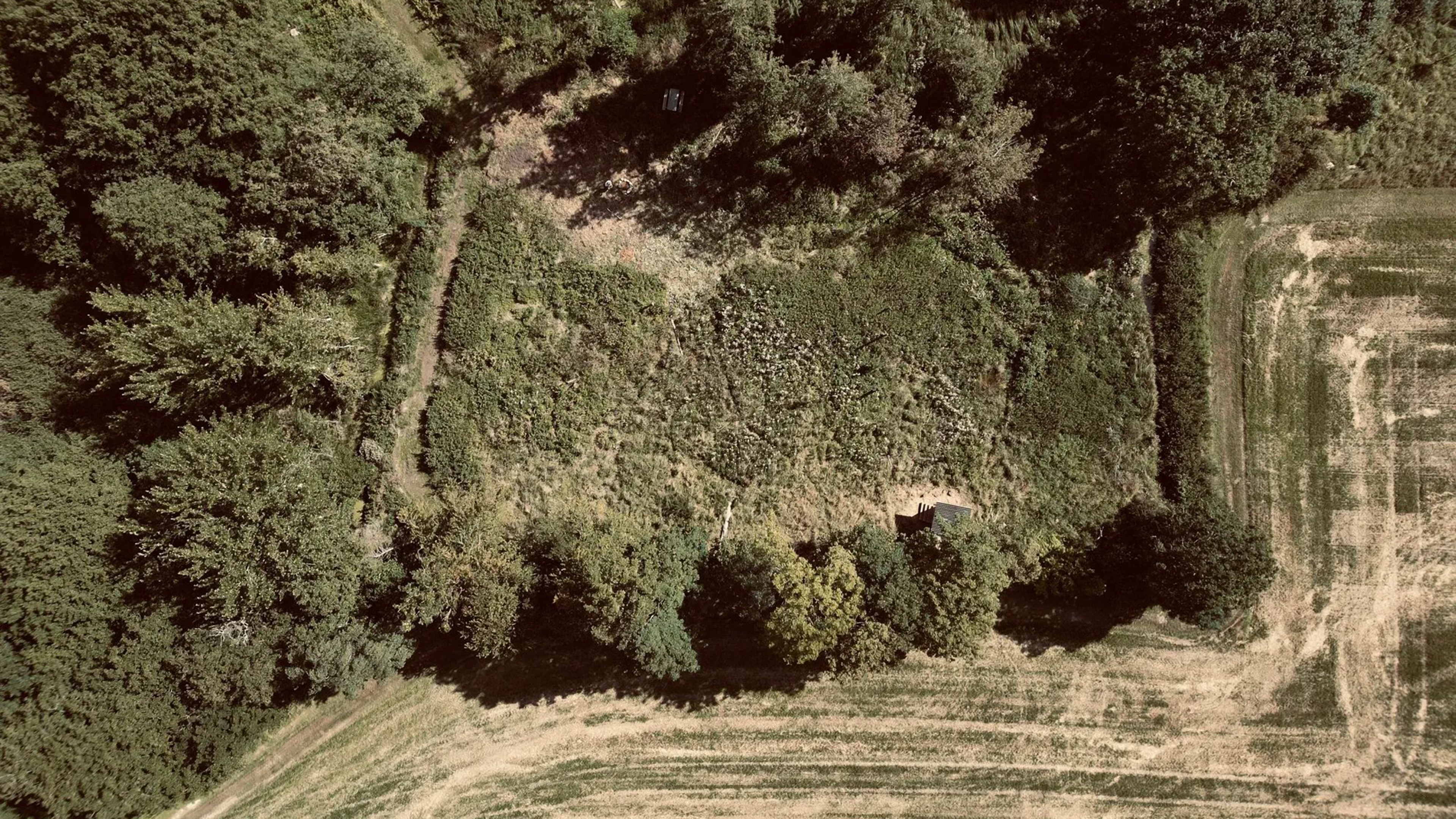naturlejrplads