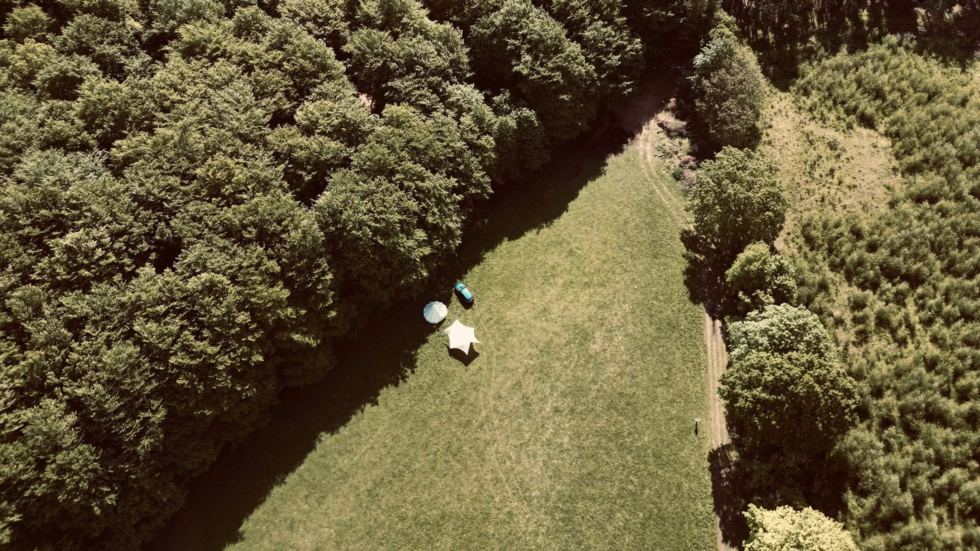 naturlejrplads