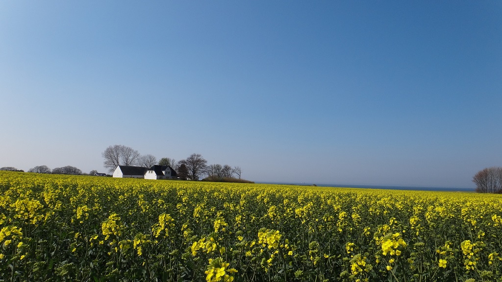Strandlykken Bed & Breakfast is surrounded by beautiful nature