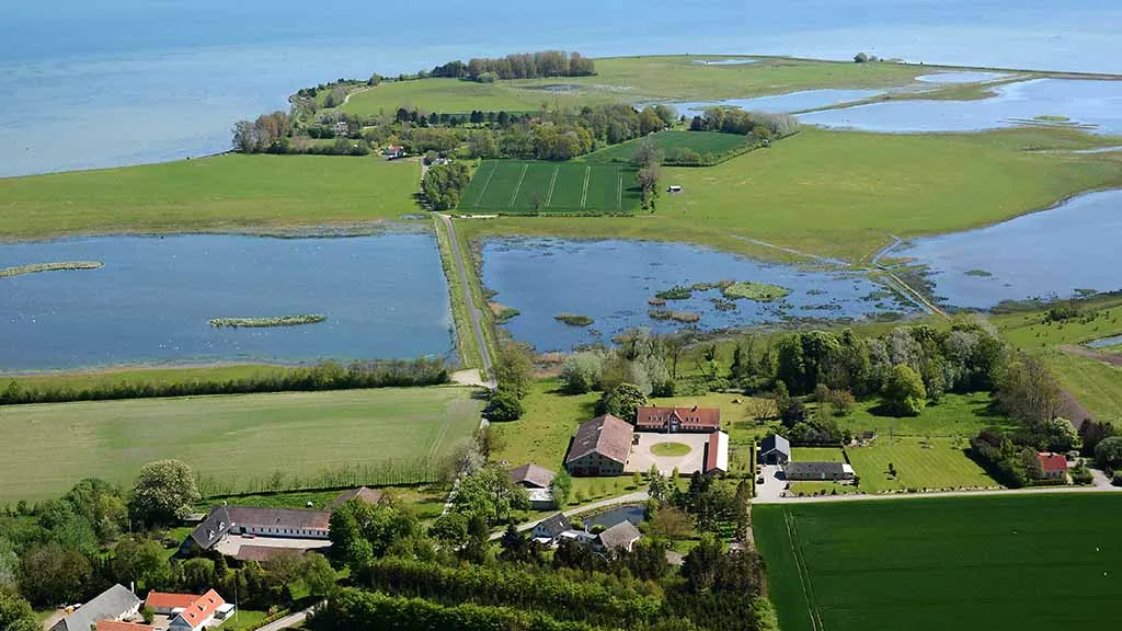 Aerial view of Ølundgaard Polder and the farms near the water