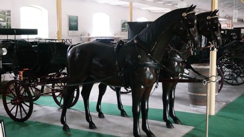 Kareter på Kærsgaard Transportmuseum