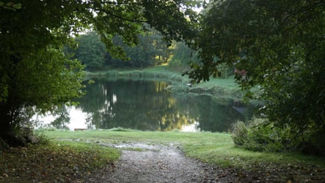 Søen ved Børges Put and Take set fra stien under de høje træer