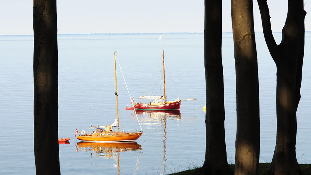 Two sailboats in the water by the tall trees on Æbelø