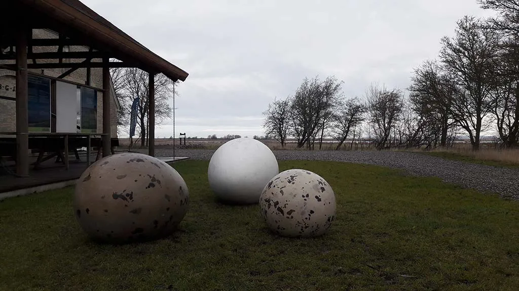 Large bird eggs made of stine at Gyldensteen Strand