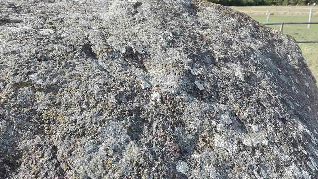 Skåltegn på en sten i jættestuen i Skamby