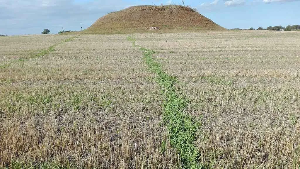 Path through the field to the burial mound Torshøj