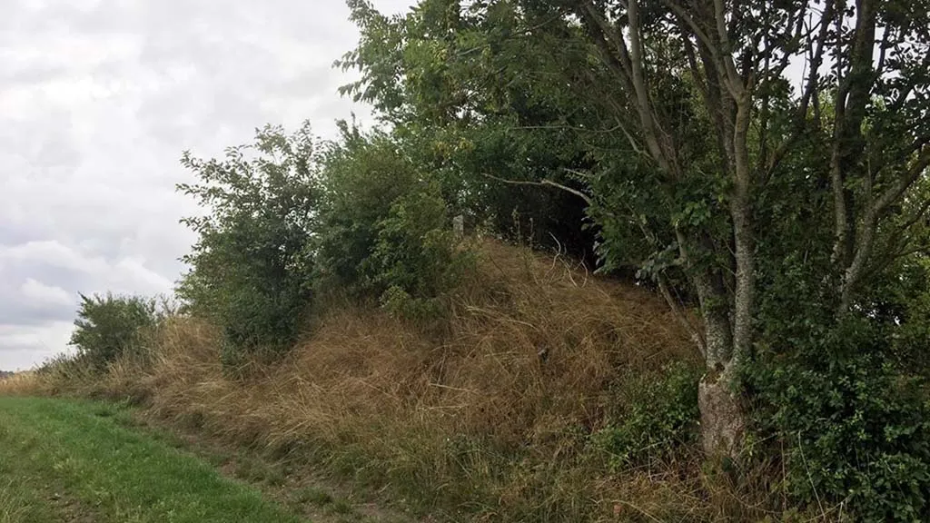 The burial mound Finshøj in the field with small trees and bushes