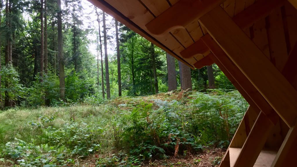 The view from a shelter in Ravnebanke Forest