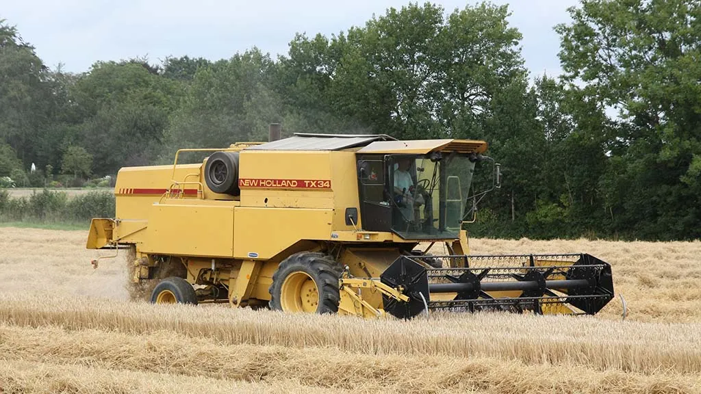 Harvest in Veflinge