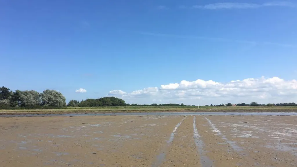 Water-filled salt marsh on the island of Ejlinge near North Funen