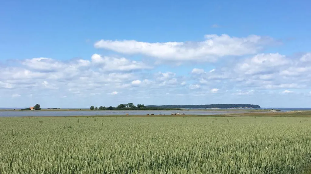 View across the field to Æbelø