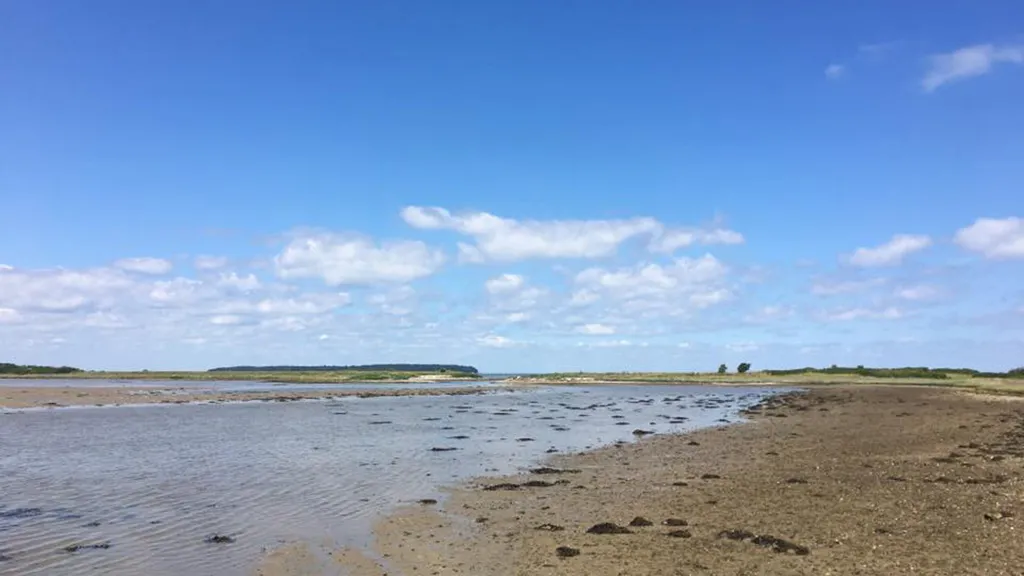 View of the salt marsh on the island of Ejlinge