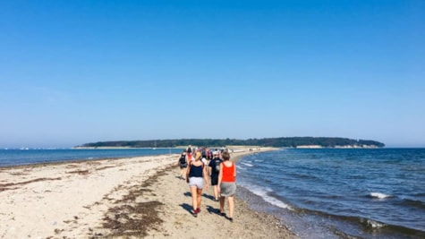 Guidet vandretur til Æbelø