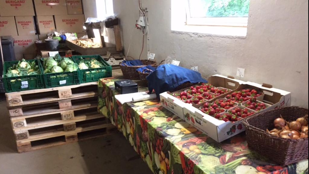 Kærsgaard Gårdbutik verkauft Gemüse und Beeren von den eigenen Feldern