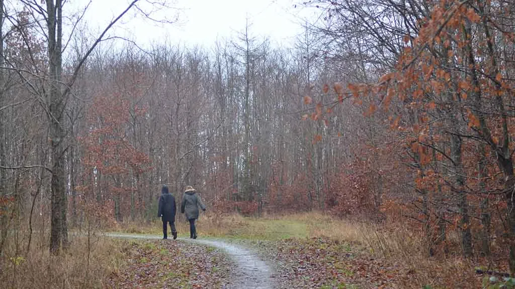 A couple walks through the Otterup town forest in January