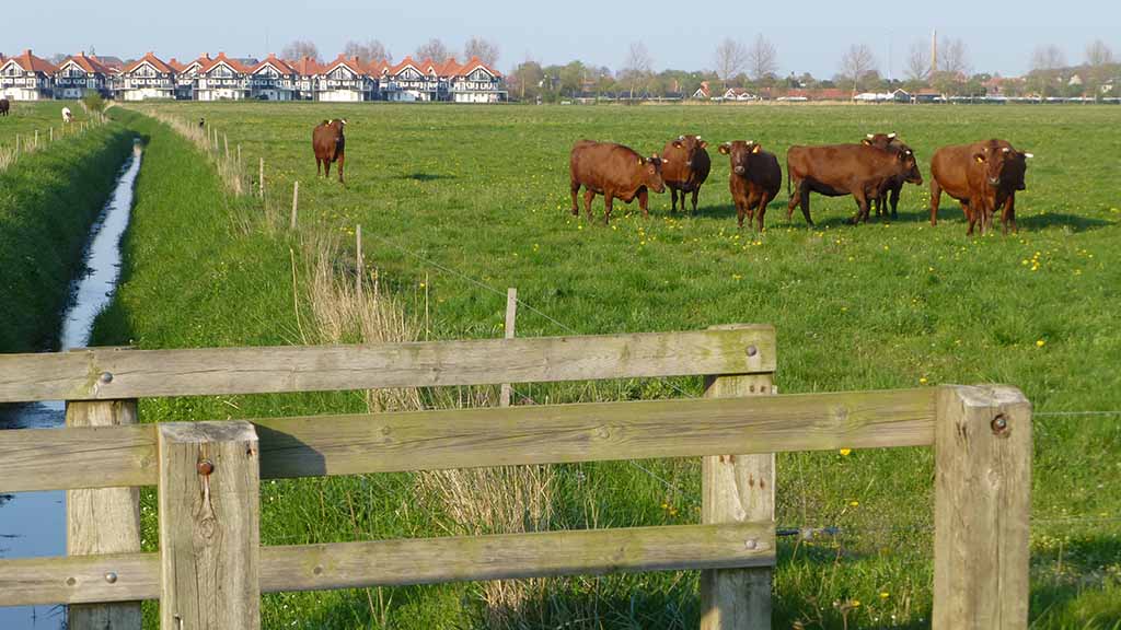 Coastal trail Nordfyn