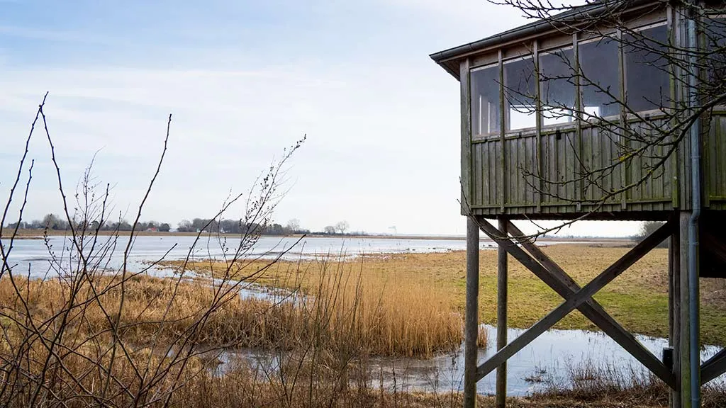 View of Odense Fjord at the bird watching tower