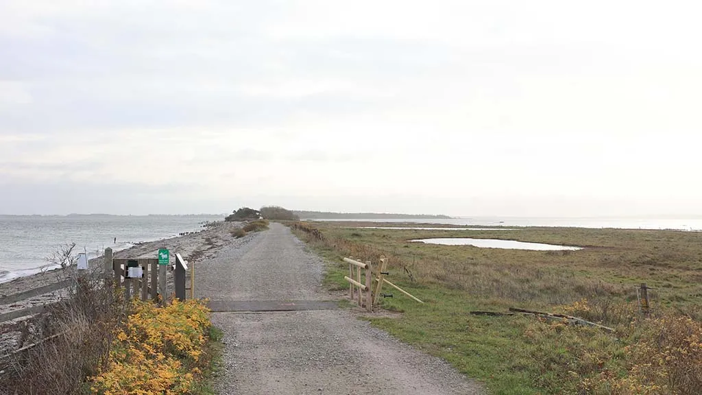 The path on Enebærodde between sea and fjord in November