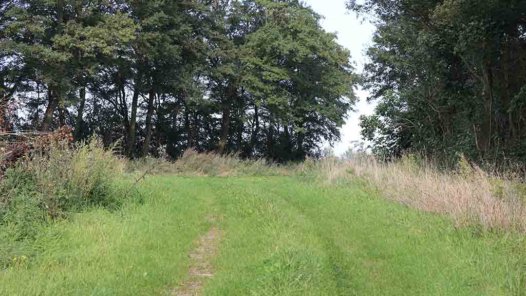 Nature trail over a field on the Rakkelbro track between Hårslev and Ejlskov