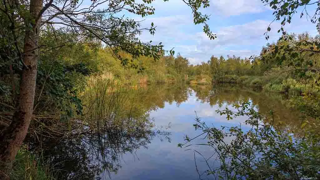 Den blå himmel spejler sig i vandet i Hasmark mosen om efteråret
