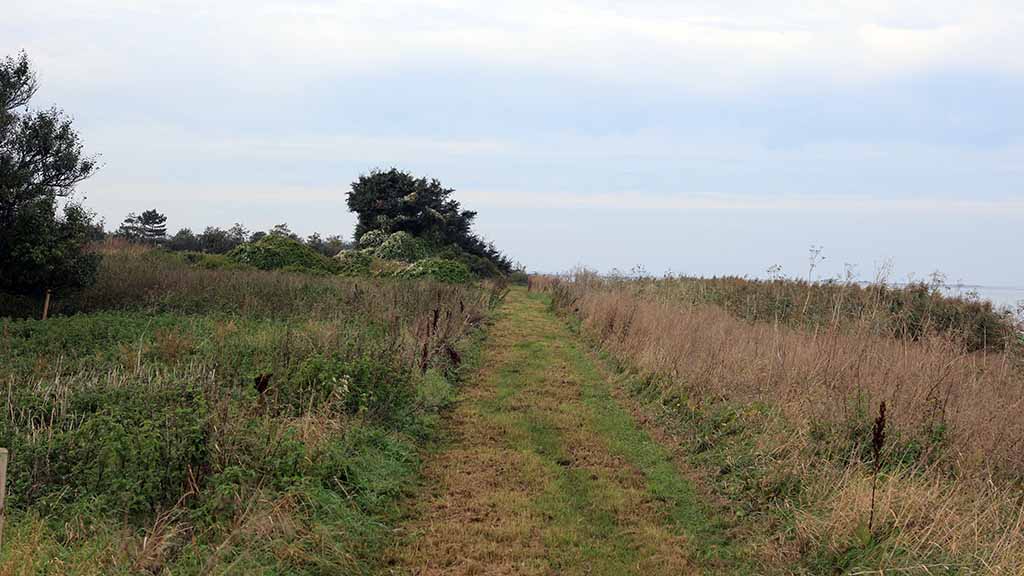 The Nørreby Hals path in the grass between small trees in autumn