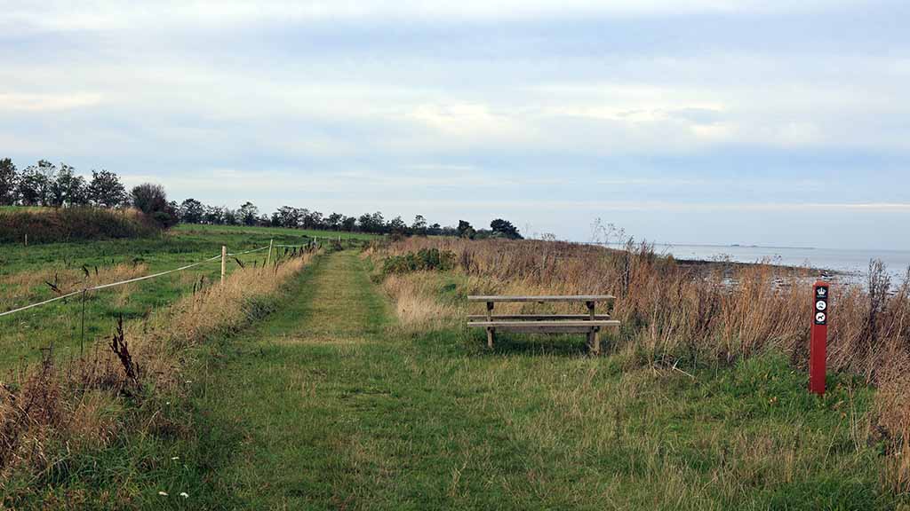 A picnic table by the Nørreby Hals trail with a view of the fjord