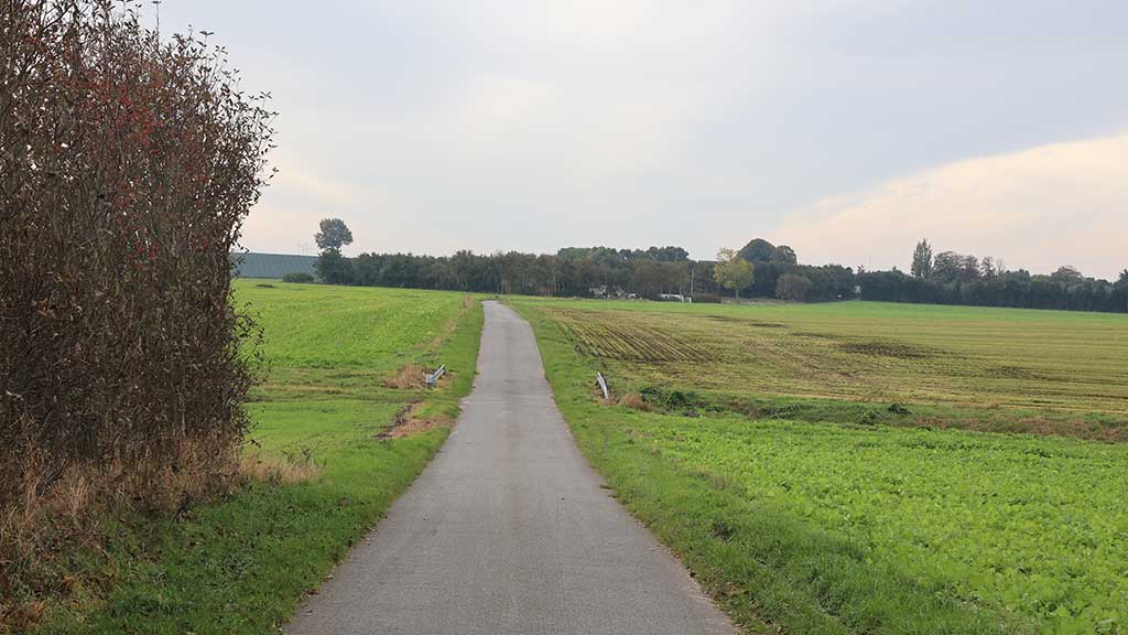 The path between the fields at Nørreby Hals