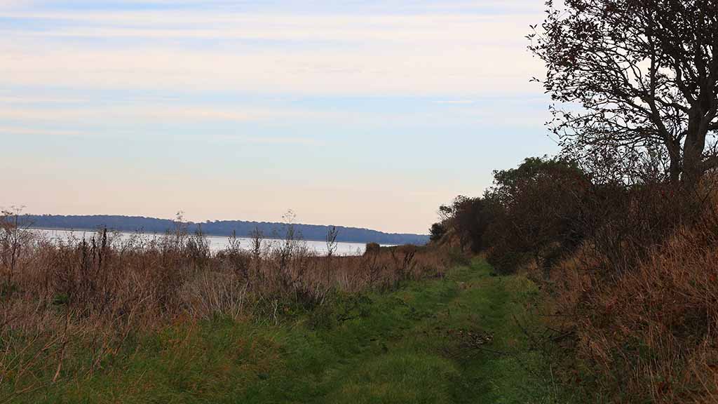 The path at Nørreby Hals in the green grass by the water
