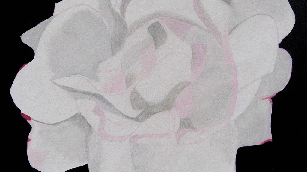 Painting of pink and white rose on black background